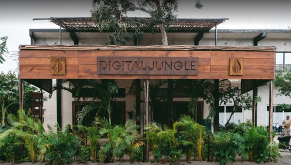 digital jungle main